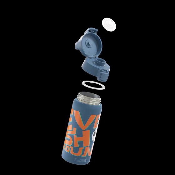 Термопляшка дитяча "Динозавр" 500мл Shield Therm One, Sigg