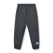 Load image into Gallery viewer, Штани Thermo Pants Alex