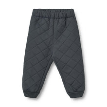 Load image into Gallery viewer, Штани Thermo Pants Alex
