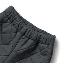 Load image into Gallery viewer, Штани Thermo Pants Alex