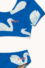 Load image into Gallery viewer, Купальник Big Swans Swim