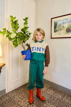 Load image into Gallery viewer, Світшот COLOR BLOCK