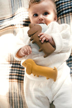 Load image into Gallery viewer, Gommu Choco Dog