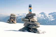 Load image into Gallery viewer, Термопляшка дитяча "Динозавр" 500мл Shield Therm One, Sigg
