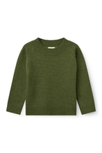 Load image into Gallery viewer, Светр Pull Over w. Turtle Neck
