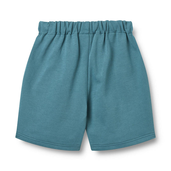 Шорти Sweat Shorts Aksel
