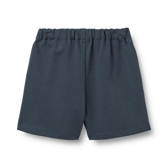 Шорти Sweat Shorts Aksel