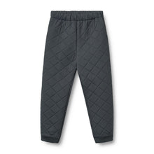 Load image into Gallery viewer, Штани Thermo Pants Alex
