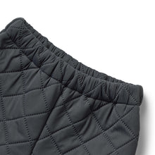 Load image into Gallery viewer, Штани Thermo Pants Alex
