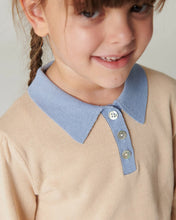 Load image into Gallery viewer, Светр Polo Ls. w. Embroidery
