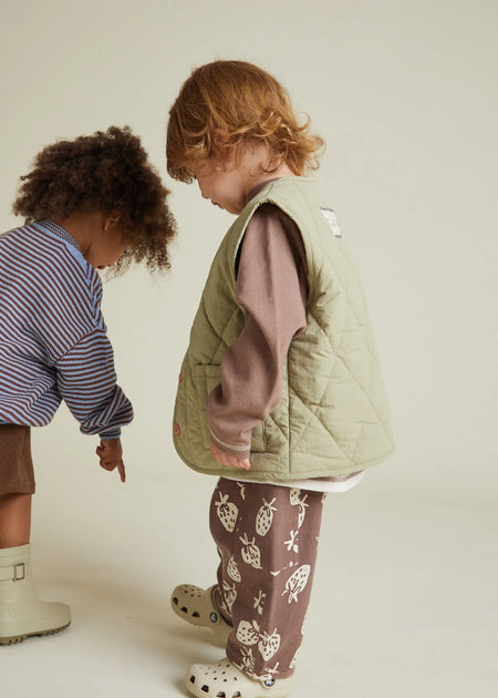 Жилет Aster Sage