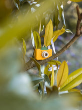 Load image into Gallery viewer, Камера цифрова для дітей від 3 років "Pina coolada" Піна колада Rookie, Hoppstar
