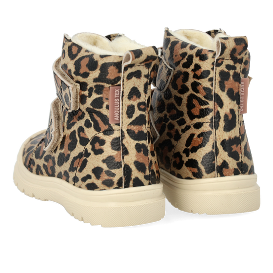 Чоботи, Angulus TEX-boot with wool lining