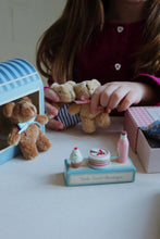 Load image into Gallery viewer, Іграшка TINY TEDDY DISPLAY 12 PCS PINK
