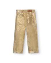 Load image into Gallery viewer, Gold Shiny Condor Pants
