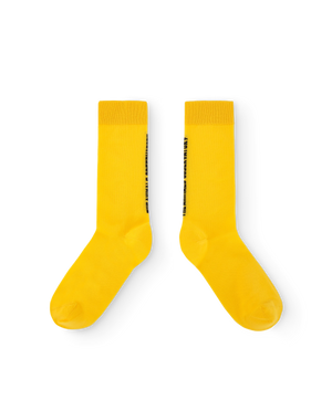 Шкарпетки Snail Socks