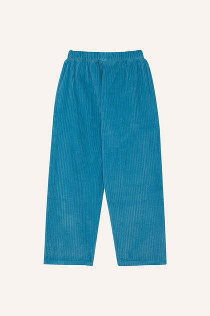 Сині вельветові штани