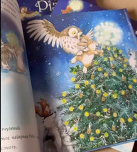 Load image into Gallery viewer, Книга "Куди зникло Різдво"
