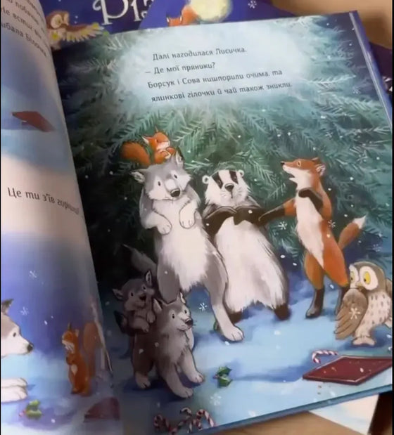 Книга "Куди зникло Різдво"