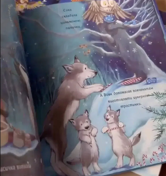 Книга "Куди зникло Різдво"