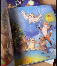 Load image into Gallery viewer, Книга "Куди зникло Різдво"
