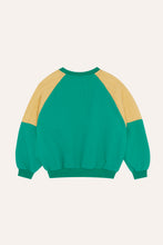 Load image into Gallery viewer, Світшот Green Polar Sweatshirt
